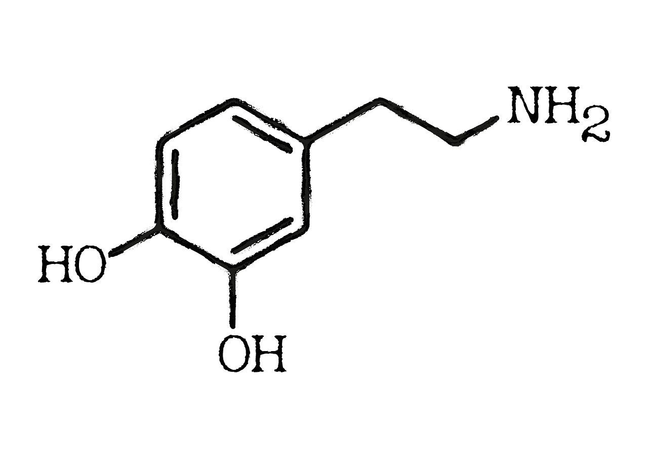 What is Dopamine: The Party-Goer's Guide to Boosting Energy